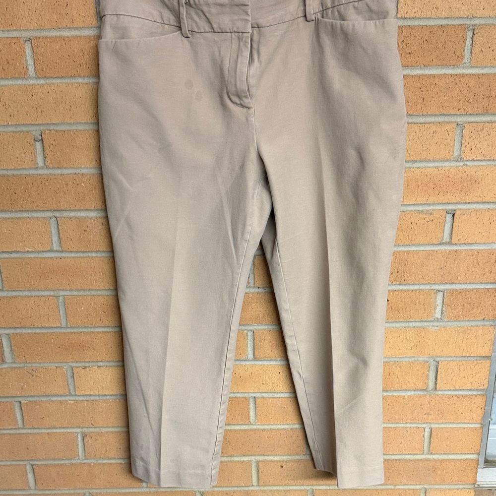 Ann Taylor Petite Neutral Beige Pants